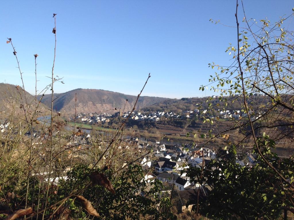 Appartamento Bauernstube Scheidterhof Kobern-Gondorf Esterno foto