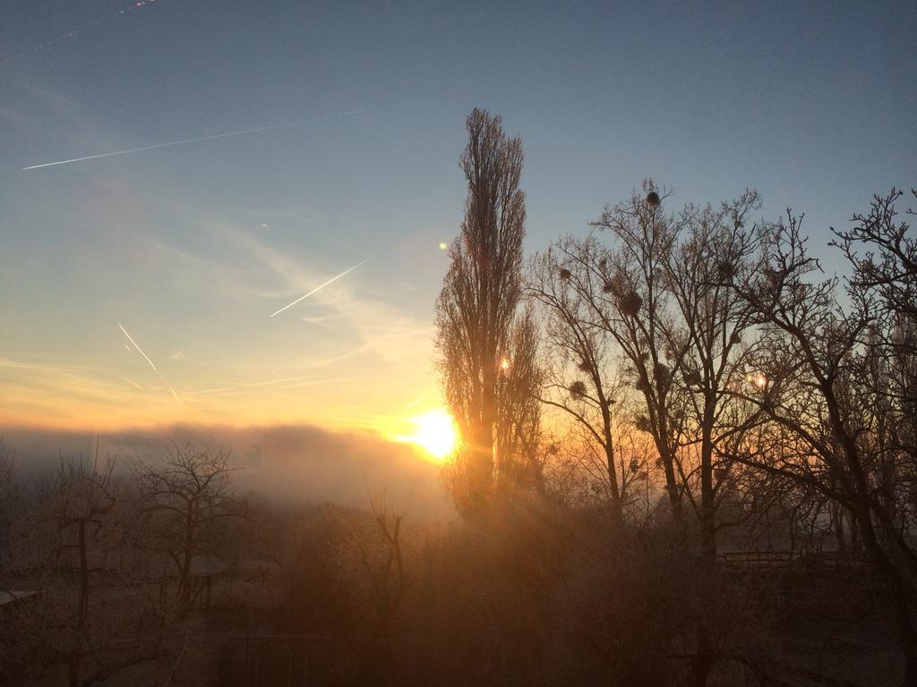 Appartamento Bauernstube Scheidterhof Kobern-Gondorf Esterno foto