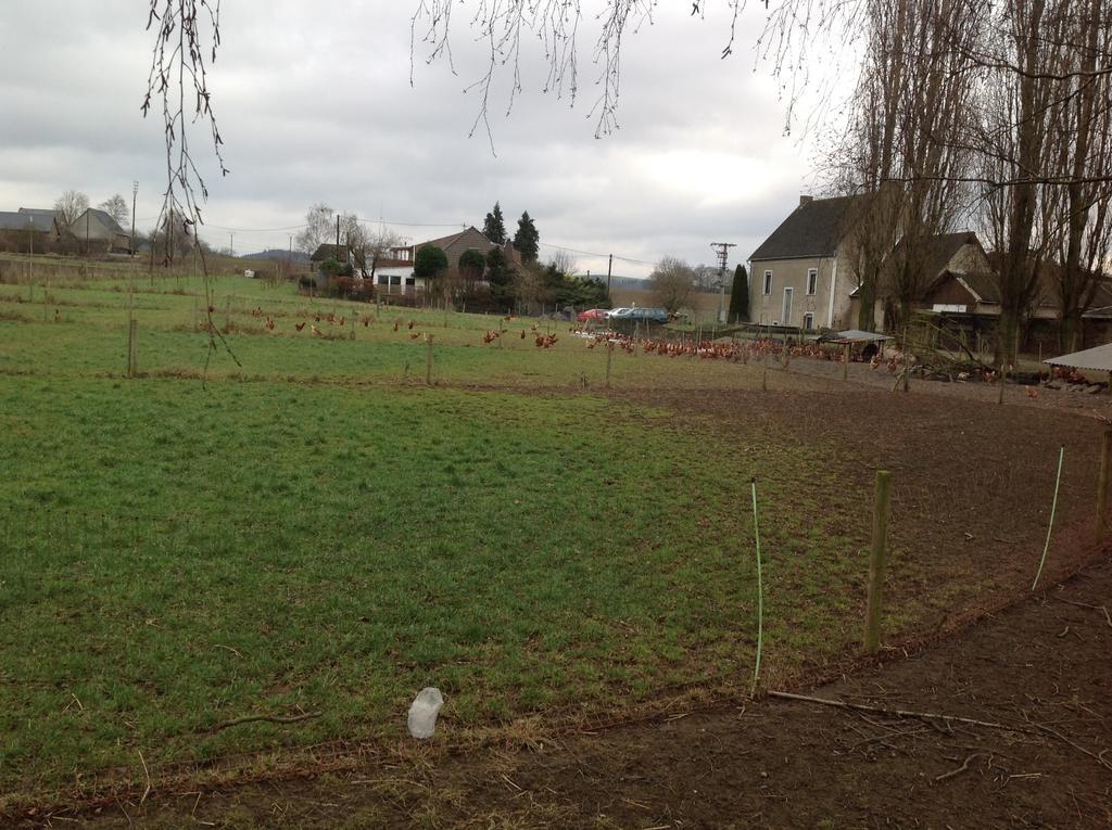 Appartamento Bauernstube Scheidterhof Kobern-Gondorf Esterno foto